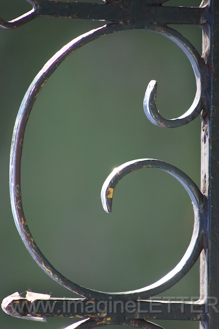 Wall_Art_Alphabet_Photography_Art_ 358.jpg